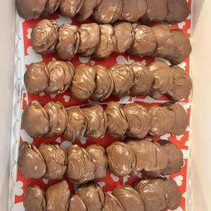 Turtles - Image 5