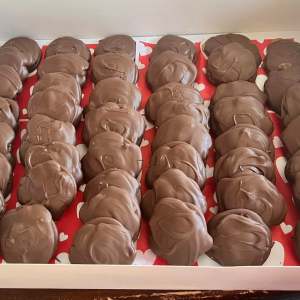 Turtles - Image 2
